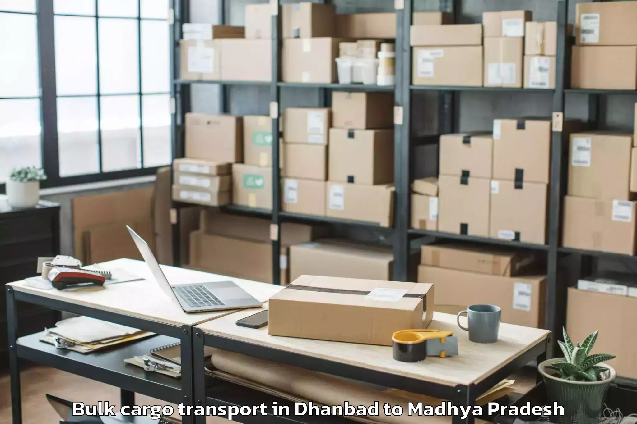 Top Dhanbad to Gyaraspur Bulk Cargo Transport Available